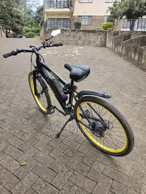 eBee Electric Bicycle