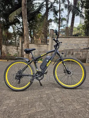 eBee Electric Bicycle