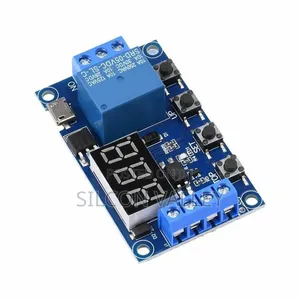 Timer Delay Module