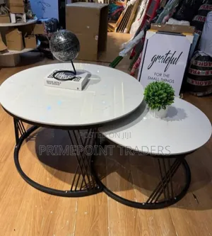 Modern Luxury 2-in-1 Pure Marble Nesting Tables With Black Stand