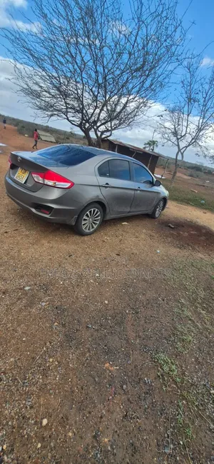 Toyota Belta 2022 Brown