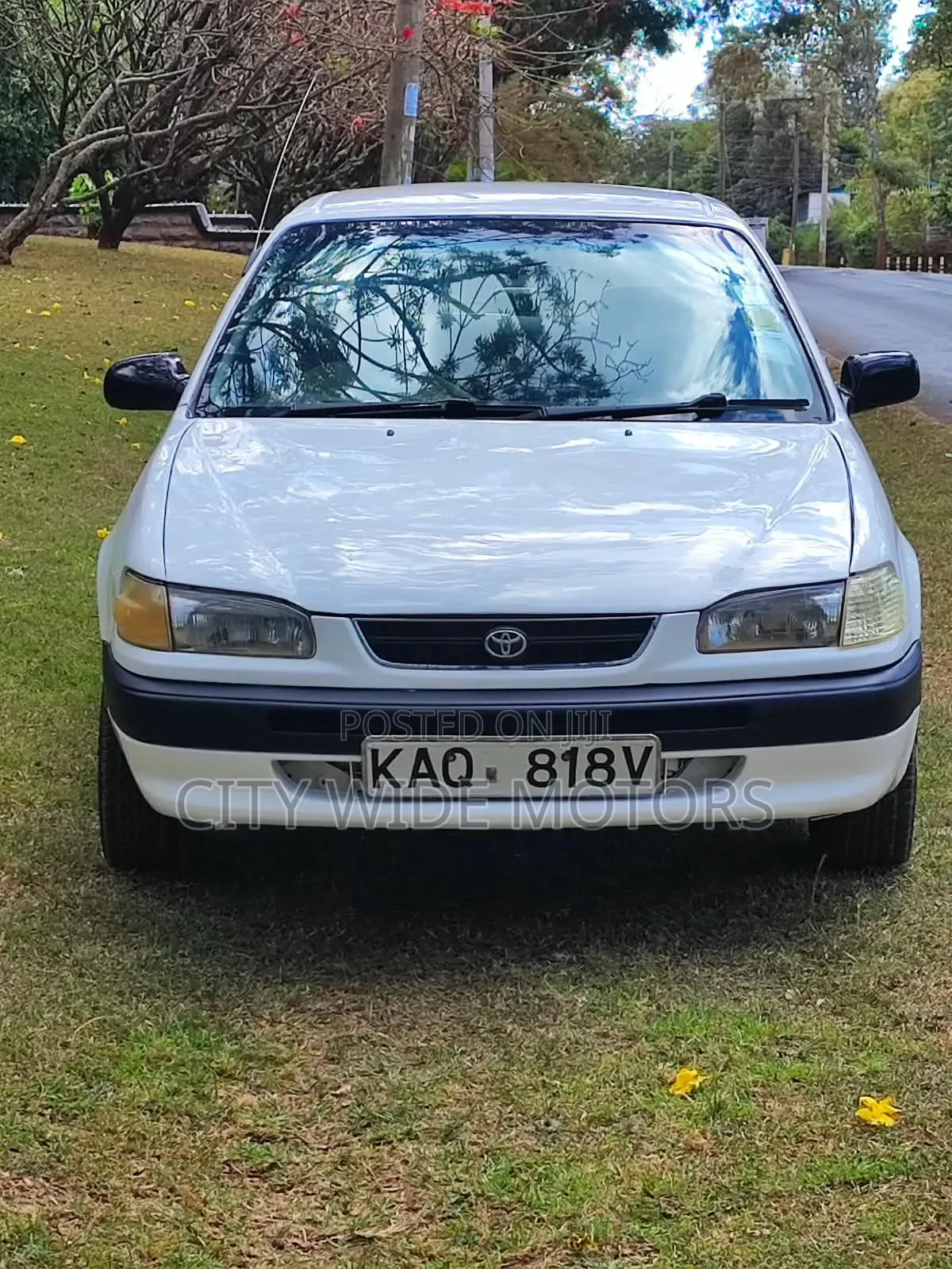 Toyota Corolla 1996 White