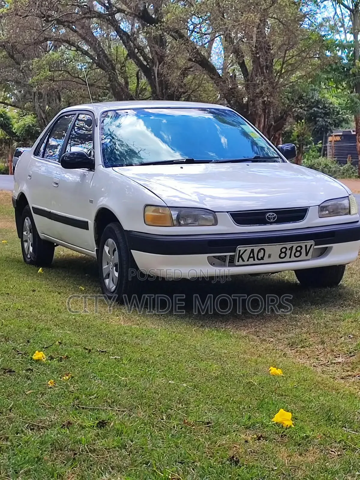 Toyota Corolla 1996 White