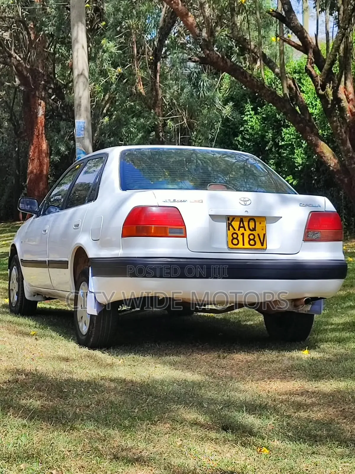 Toyota Corolla 1996 White