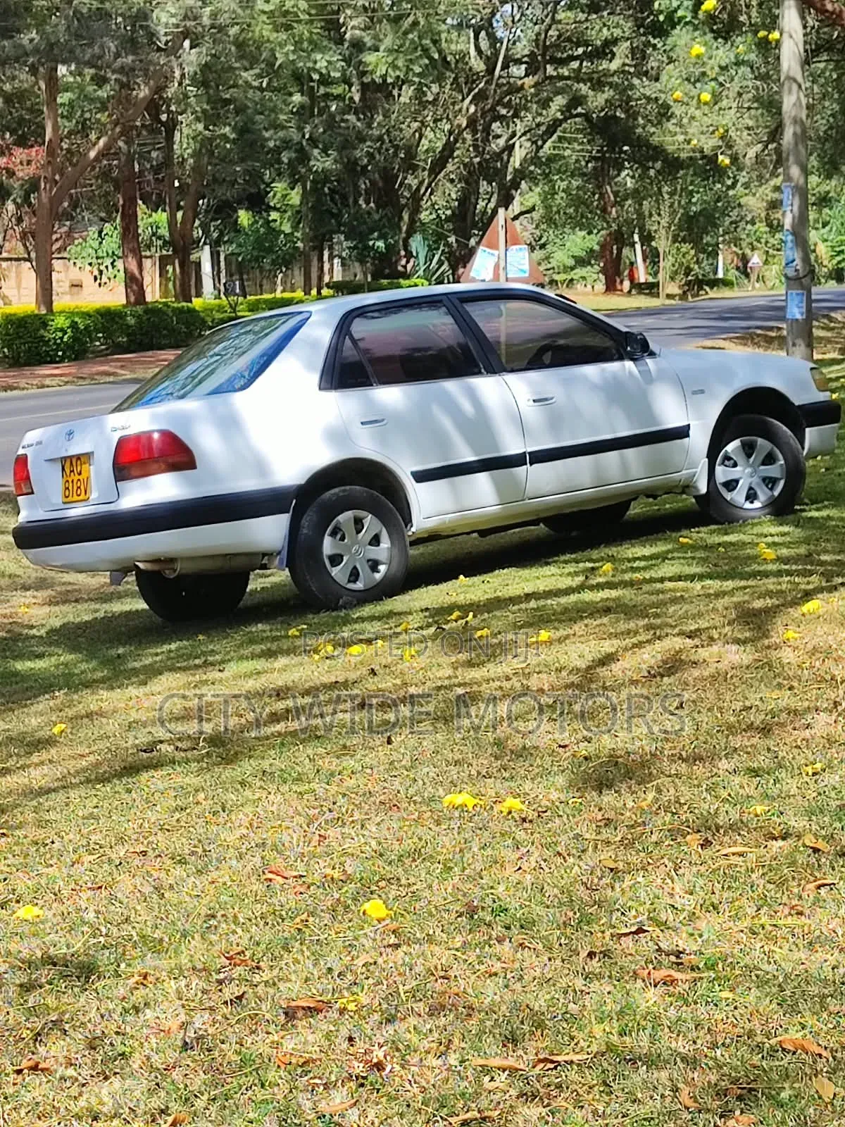 Toyota Corolla 1996 White
