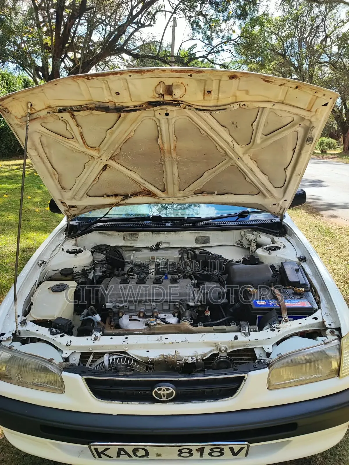 Toyota Corolla 1996 White