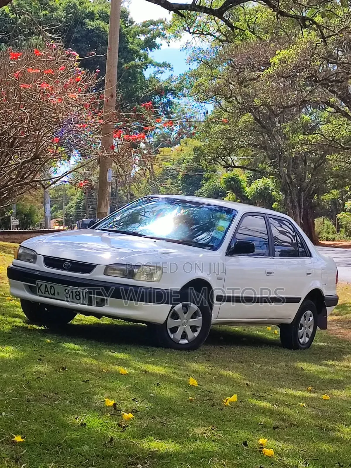 Toyota Corolla 1996 White