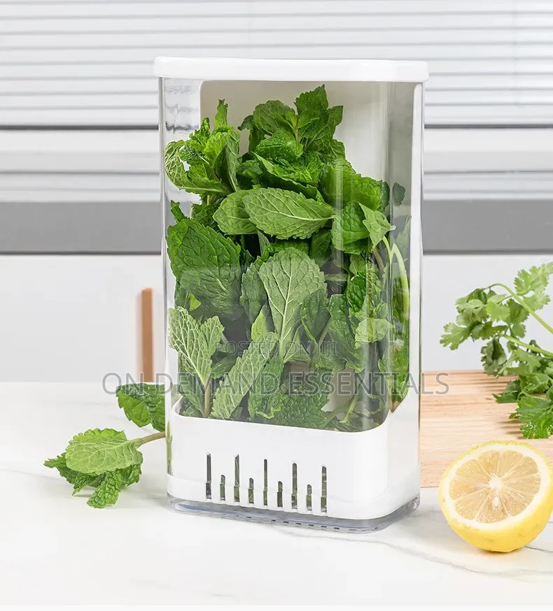Airtight Herb Storage Box