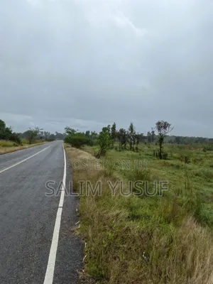 Land for Sale Majoreni 200 Acres 450 Per Acre