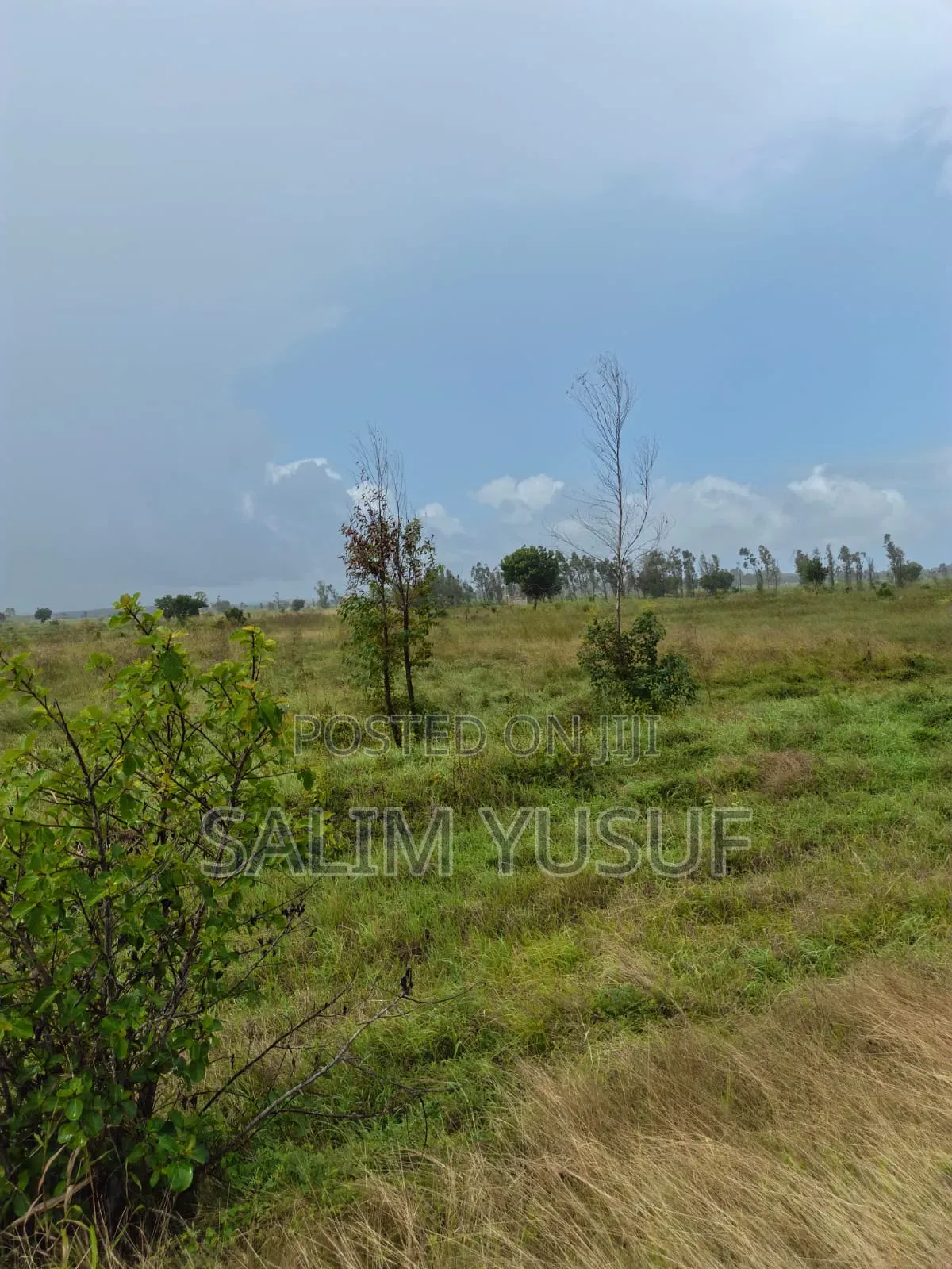 Land for Sale Majoreni 200 Acres 450 Per Acre