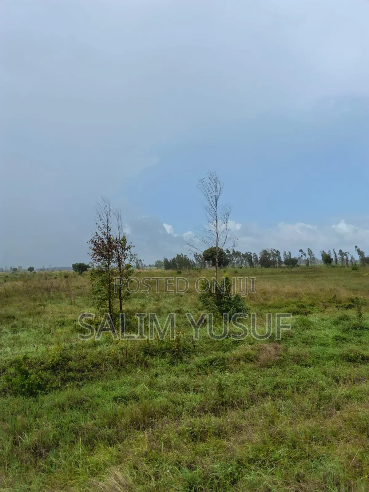 Land for Sale Majoreni 200 Acres 450 Per Acre