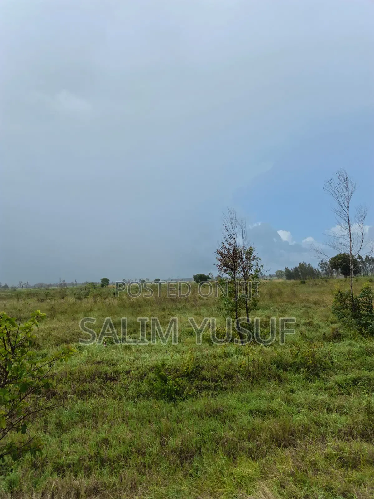Land for Sale Majoreni 200 Acres 450 Per Acre
