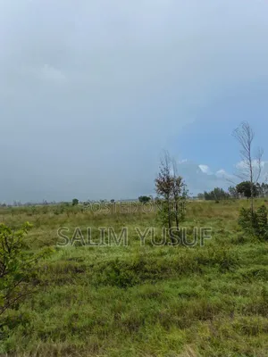 Land for Sale Majoreni 200 Acres 450 Per Acre