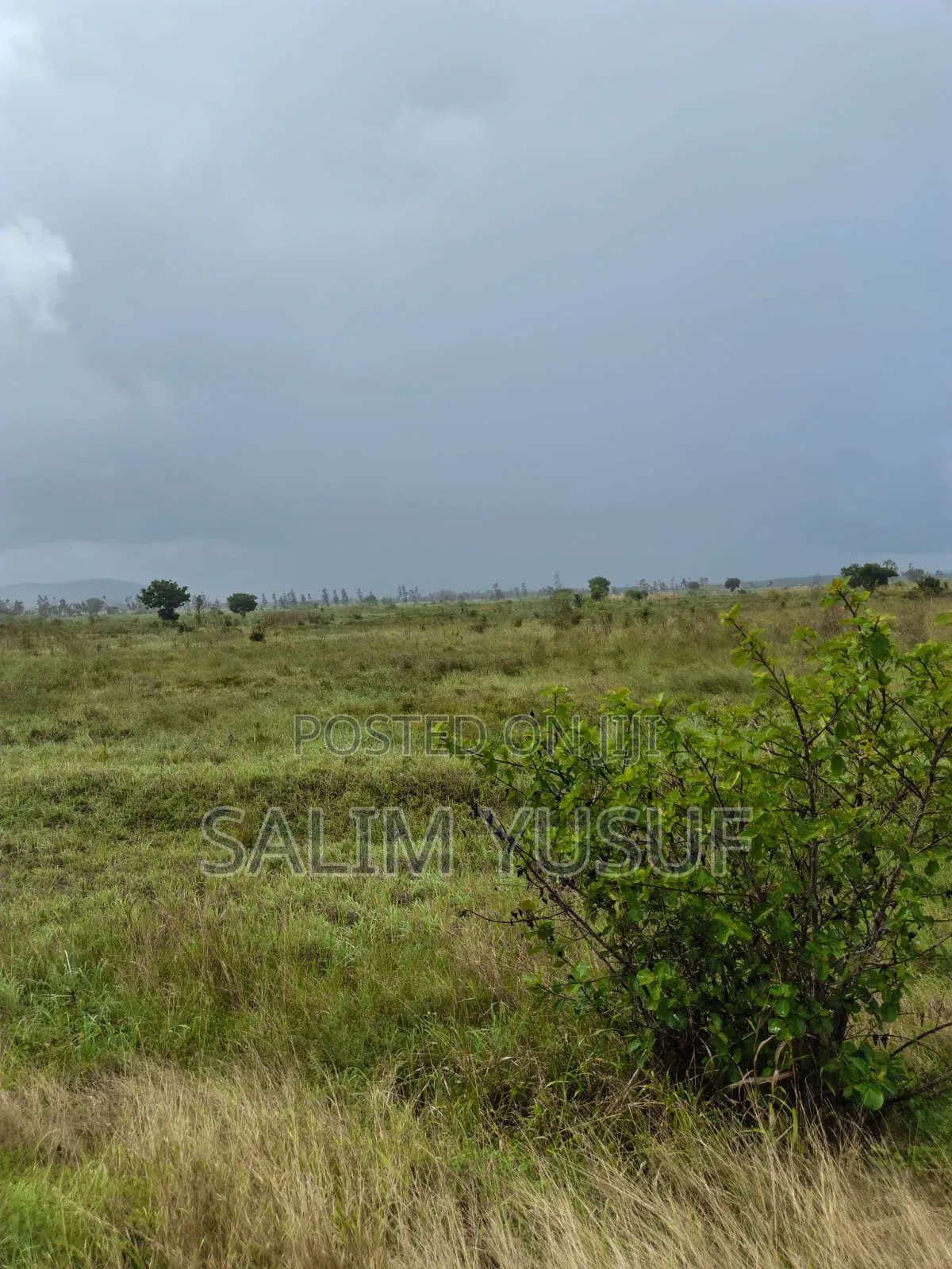 Land for Sale Majoreni 200 Acres 450 Per Acre