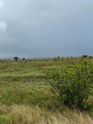 Land for Sale Majoreni 200 Acres 450 Per Acre