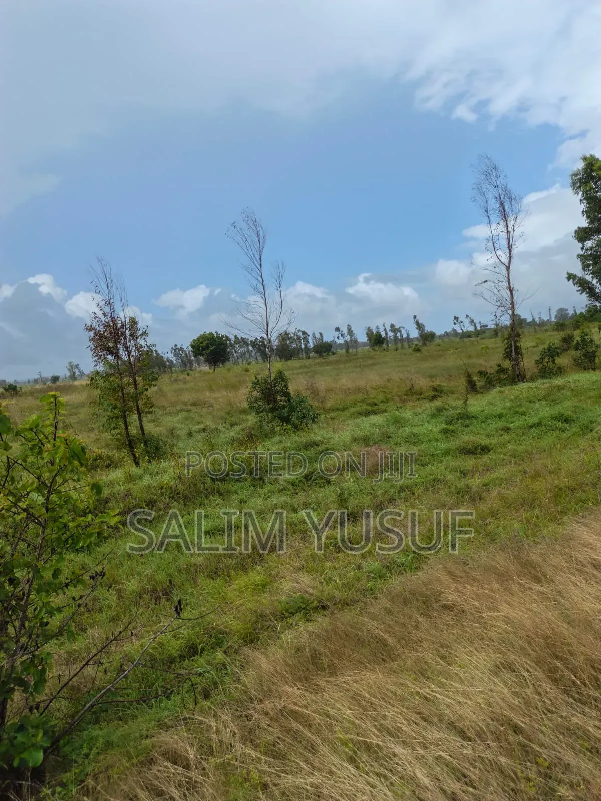 Land for Sale Majoreni 200 Acres 450 Per Acre