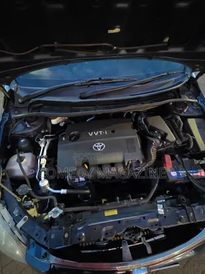 Toyota Axio 2008 Blue