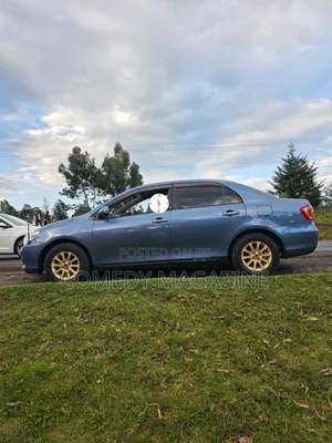 Toyota Axio 2008 Blue