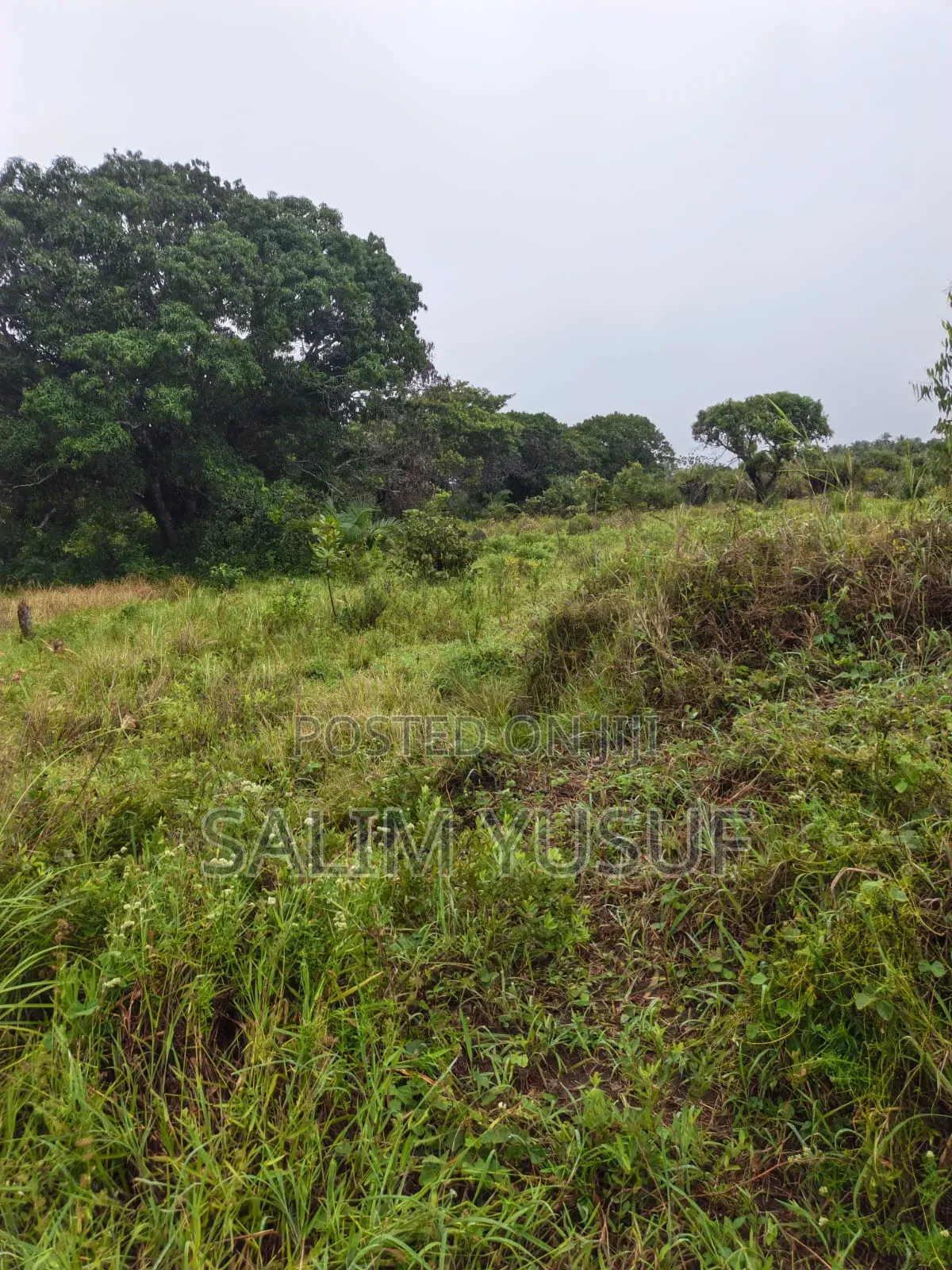 Land on Sale Kwale Count Mshiu 5 Acres 470,000Per Acre