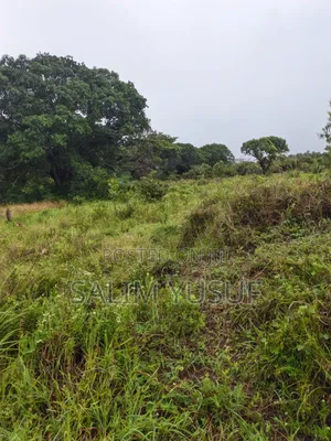 Land on Sale Kwale Count Mshiu 5 Acres 470,000Per Acre