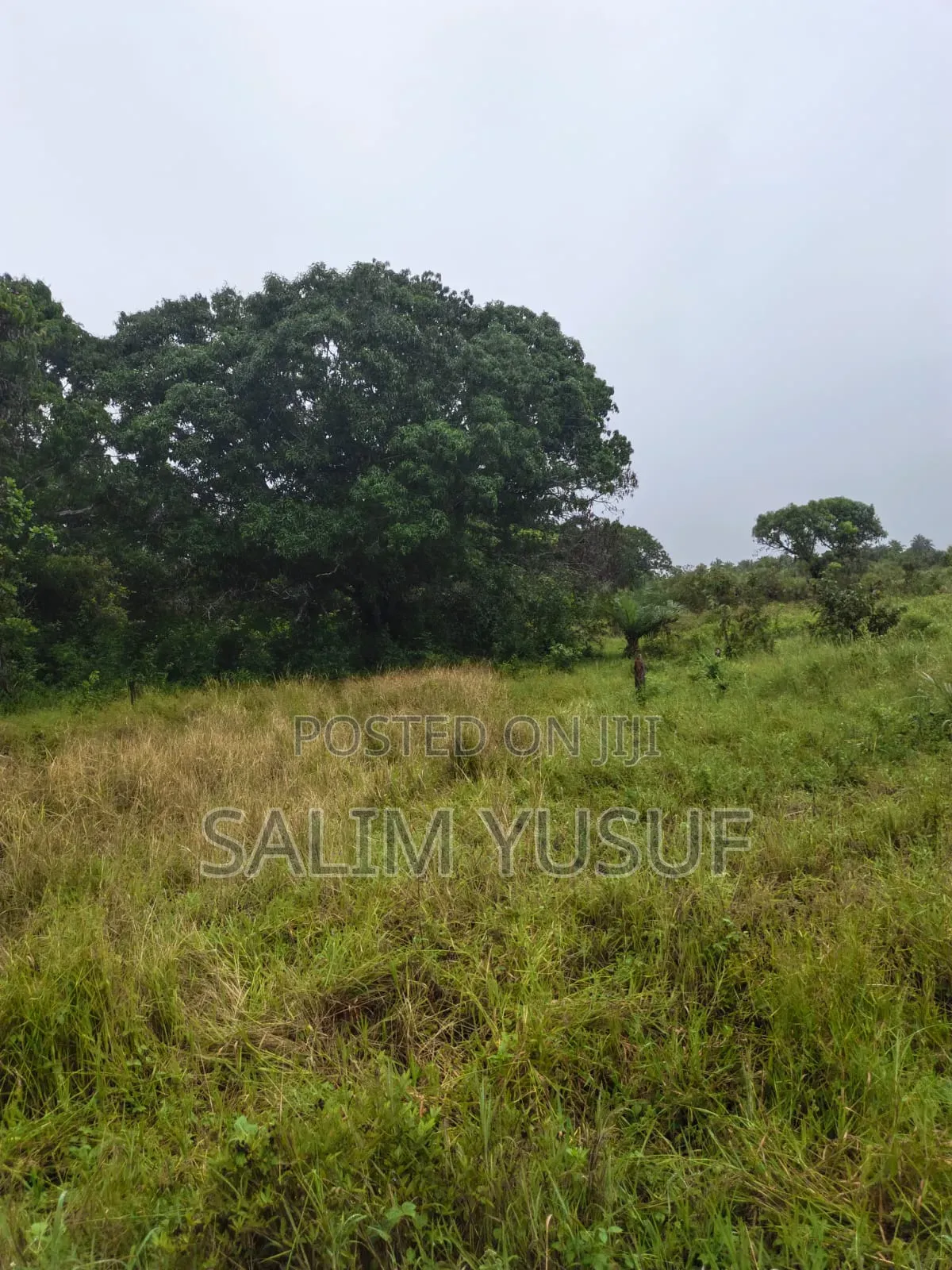 Land on Sale Kwale Count Mshiu 5 Acres 470,000Per Acre