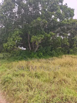 Land on Sale Kwale Count Mshiu 5 Acres 470,000Per Acre