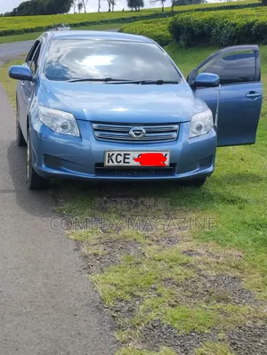 Toyota Axio 2009 Blue