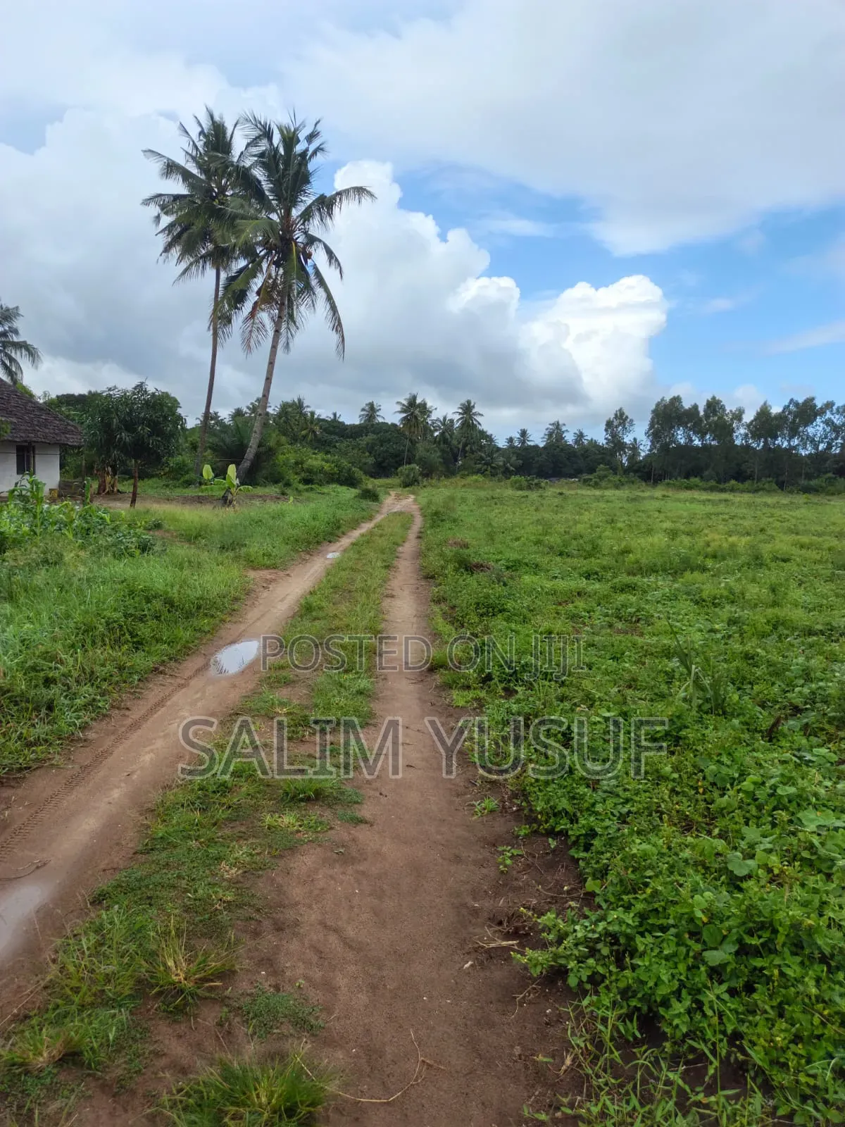 Land on Sale Kwale Count Mshiu 8acres 1,250,000 Per Acre