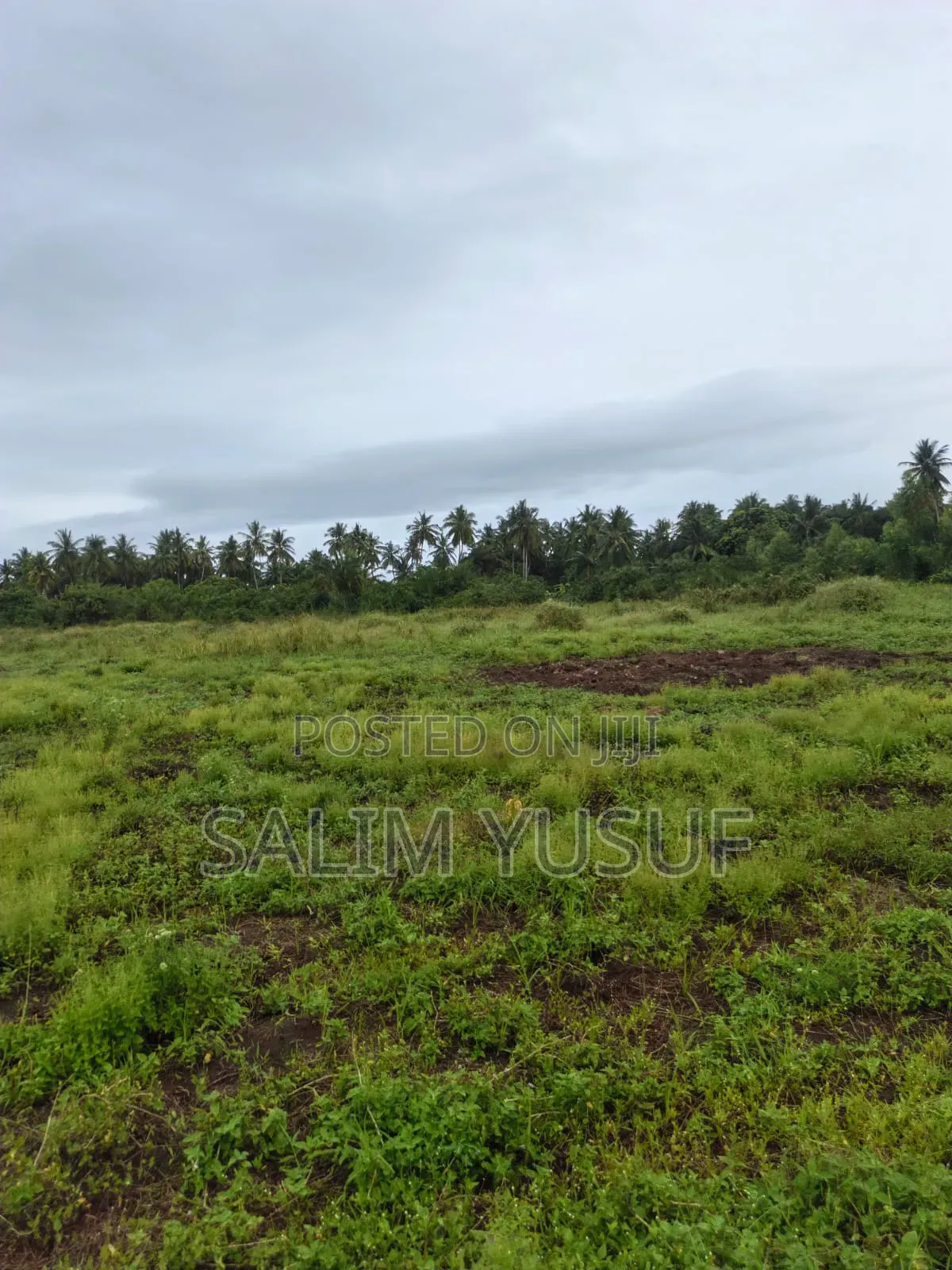 Land on Sale Kwale Count Mshiu 8acres 1,250,000 Per Acre