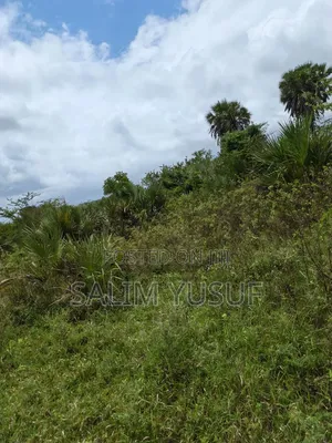Land on Sale Kwale County Majoreni 17 Acres 350 Pr Acre