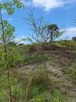 Land on Sale Kwale County Majoreni 17 Acres 350 Pr Acre
