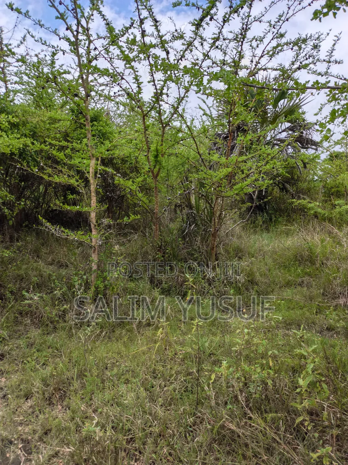 Land on Sale Kwale County Majoreni 17 Acres 350 Pr Acre
