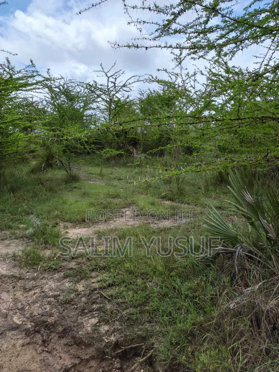 Land on Sale Kwale County Majoreni 17 Acres 350 Pr Acre