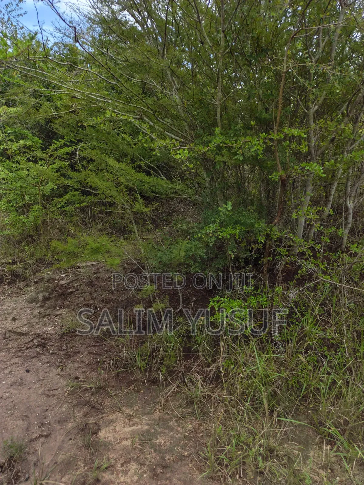 Land on Sale Kwale County Majoreni 17 Acres 350 Pr Acre
