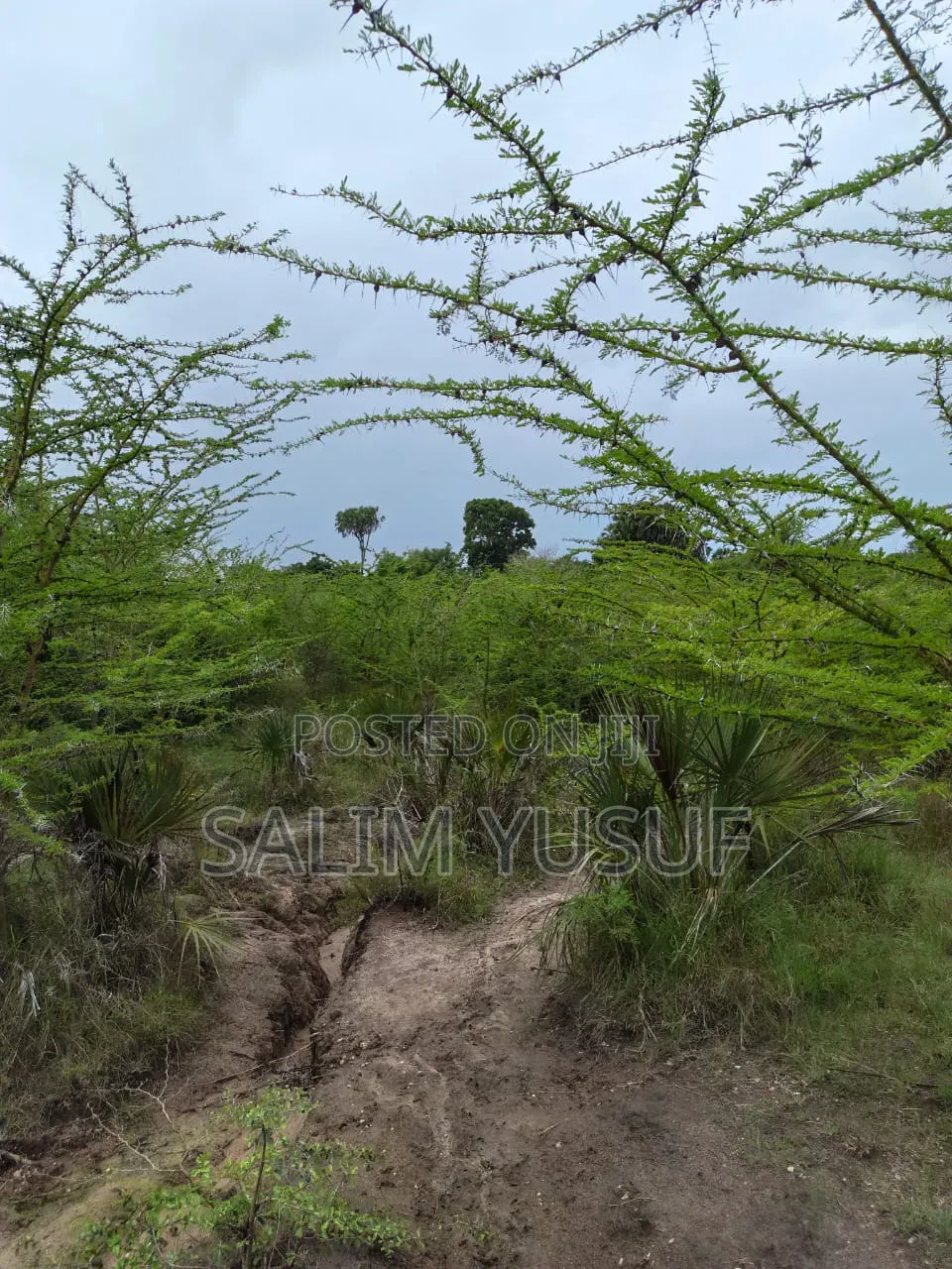 Land on Sale Kwale County Majoreni 17 Acres 350 Pr Acre