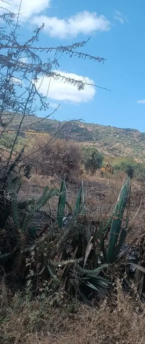 27 Acres for Sale Mombasa Road