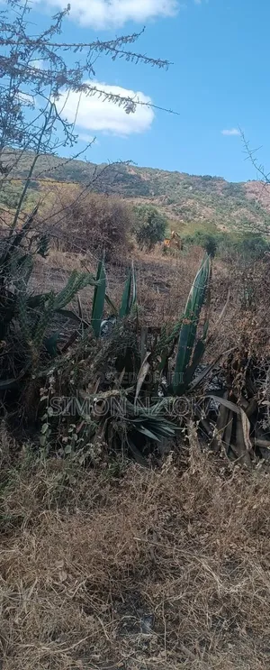 27 Acres for Sale Mombasa Road
