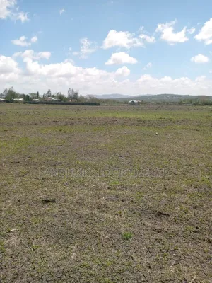 Konza at Aimi Ma Kilungu  Dc  Area Malili   10 Acres for Farm  Titled