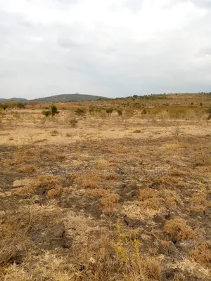 100 Acres Diffirently  Touching Mombasa Rd  at Maanzoni &After  Chumvi