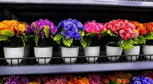 🌸 Beautiful Artificial Flower in White Pot