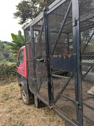 Tata Ace 2020 Pink