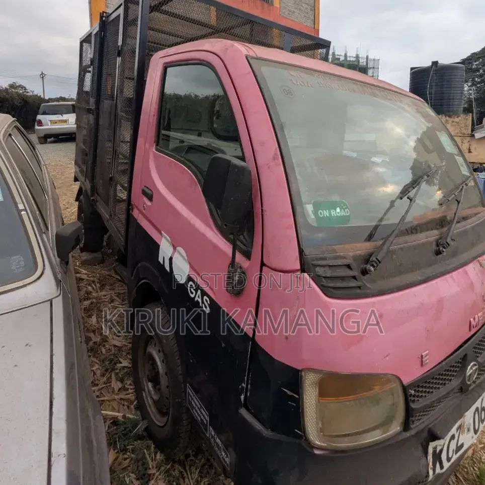 Tata Ace 2020 Pink