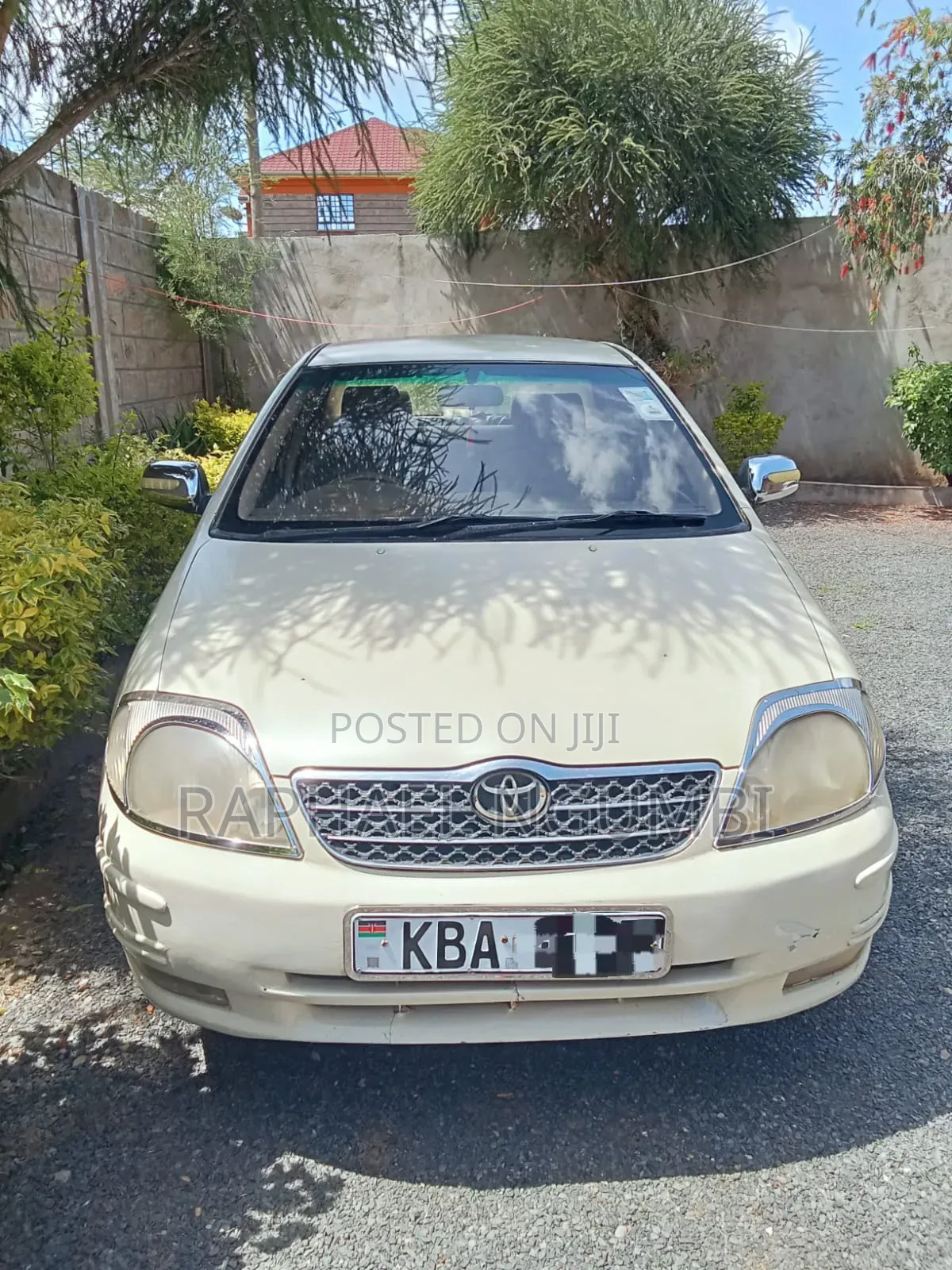 Toyota Corolla 2002 White