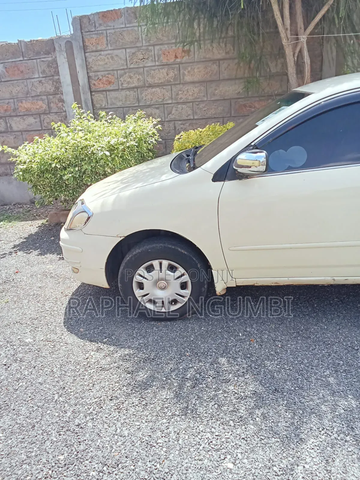 Toyota Corolla 2002 White