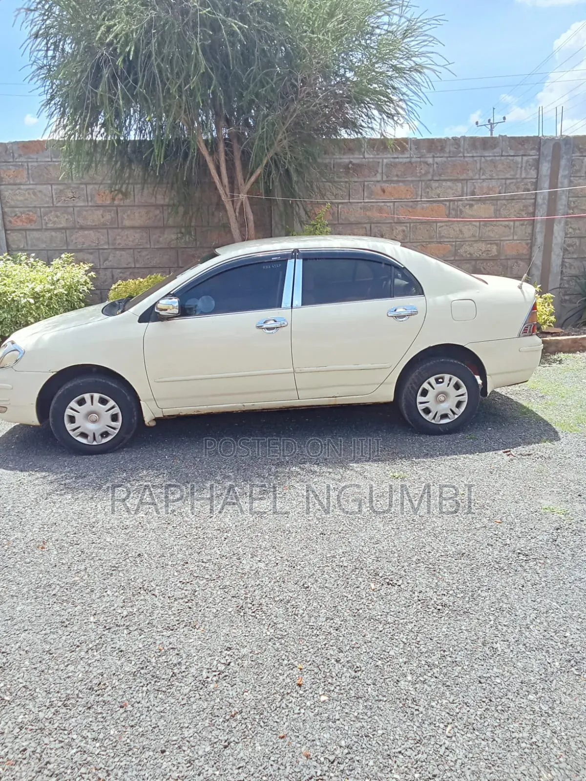 Toyota Corolla 2002 White