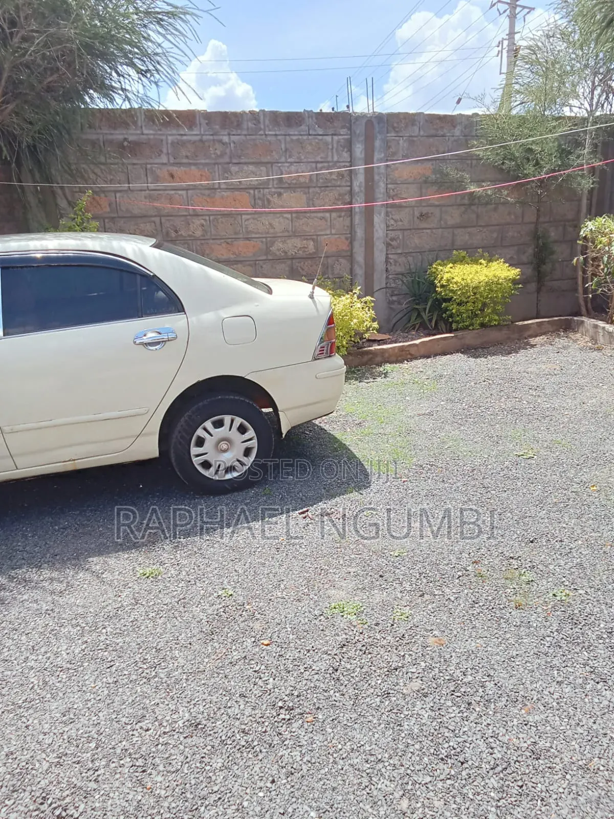 Toyota Corolla 2002 White
