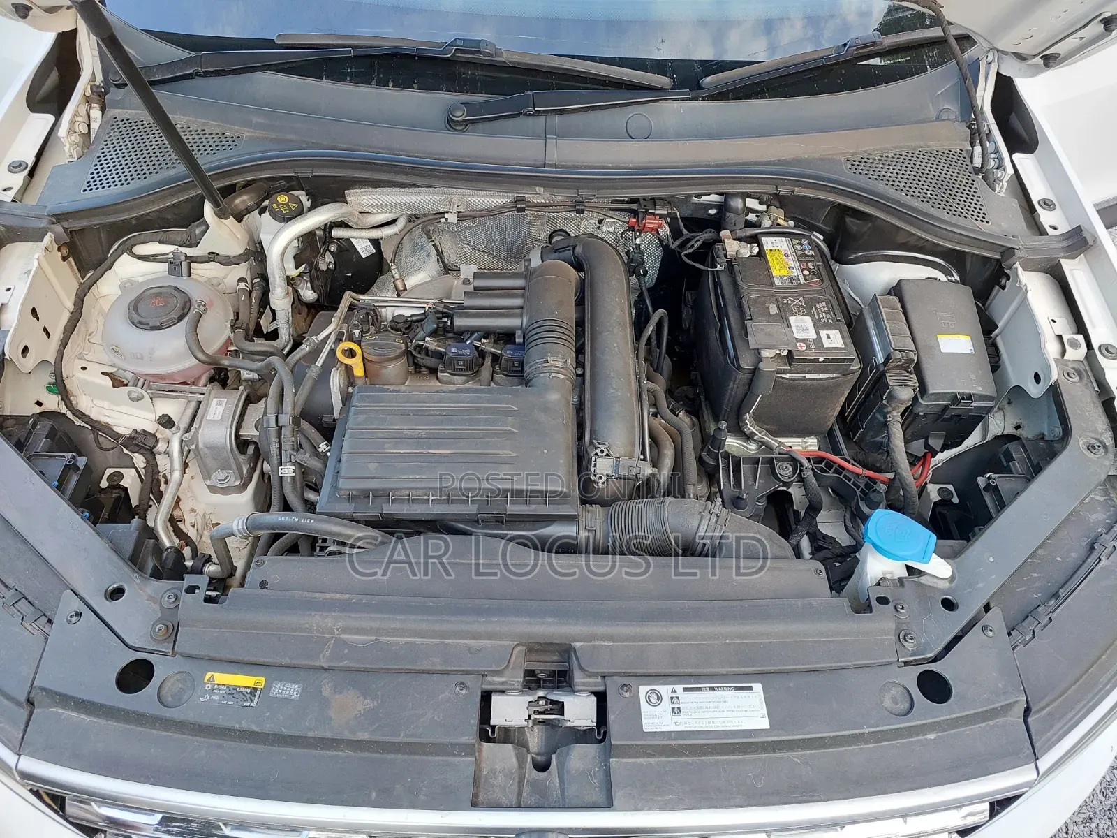 Volkswagen Tiguan 2018 White