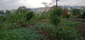 Plots Kiserian Town