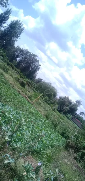 Plots Kiserian Town