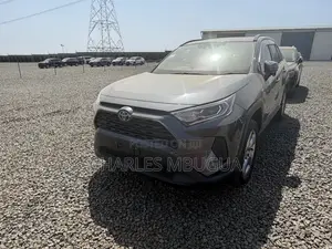 Toyota RAV4 LE AWD 2019 Gray